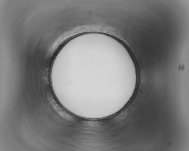 X0000110761499200907061041