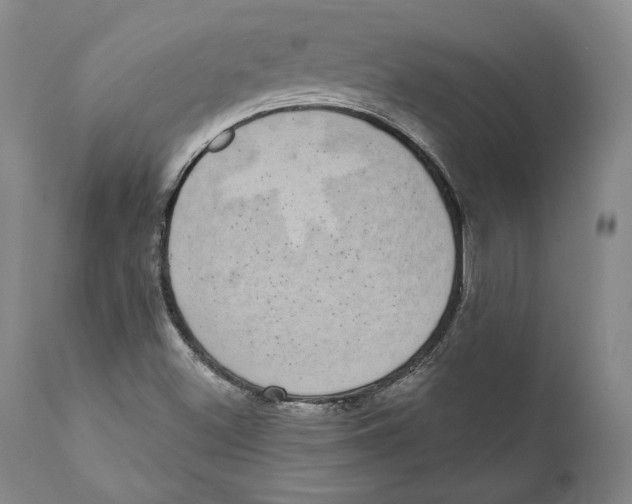 X0000110761500200907061041