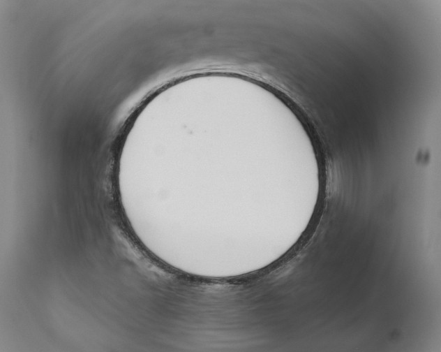 X0000110761502200907061041