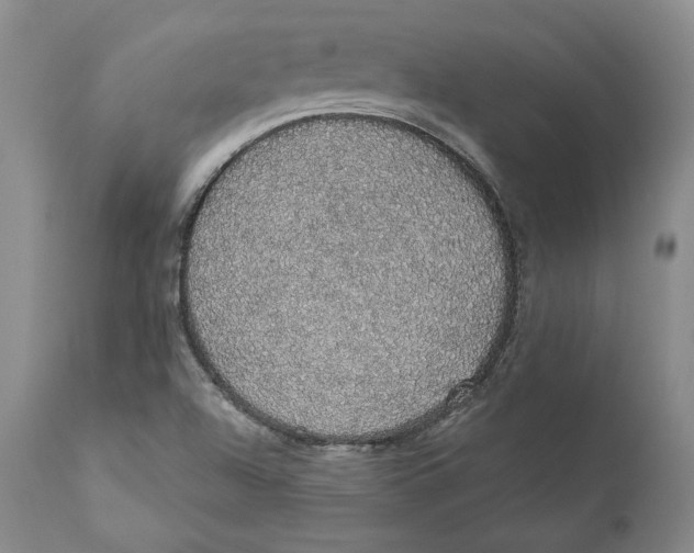 X0000110761504200907061042