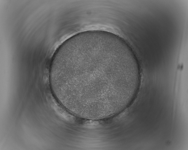 X0000110761505200907061042