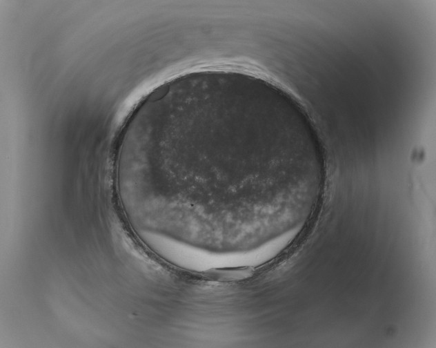 X0000110761506200907061042
