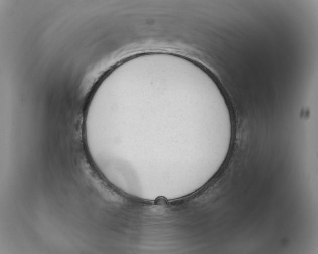 X0000110761507200907061042