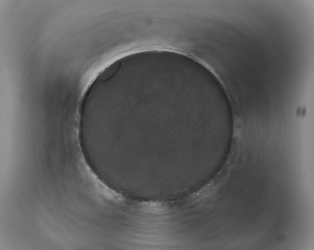 X0000110761508200907061042