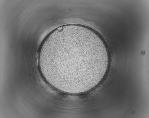 X0000110761509200907061042