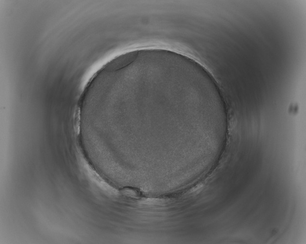 X0000110761510200907061042
