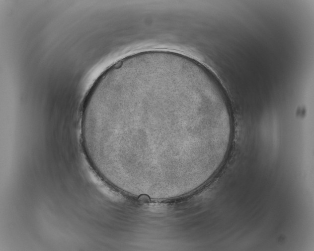 X0000110761511200907061042