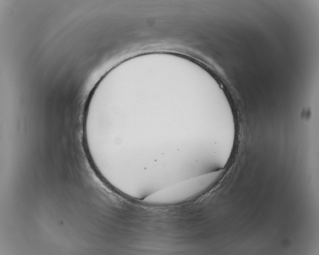 X0000110761512200907061042