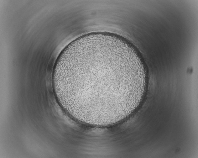 X0000110761513200907061042