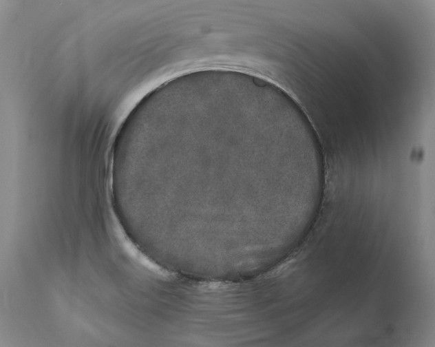 X0000110761515200907061042