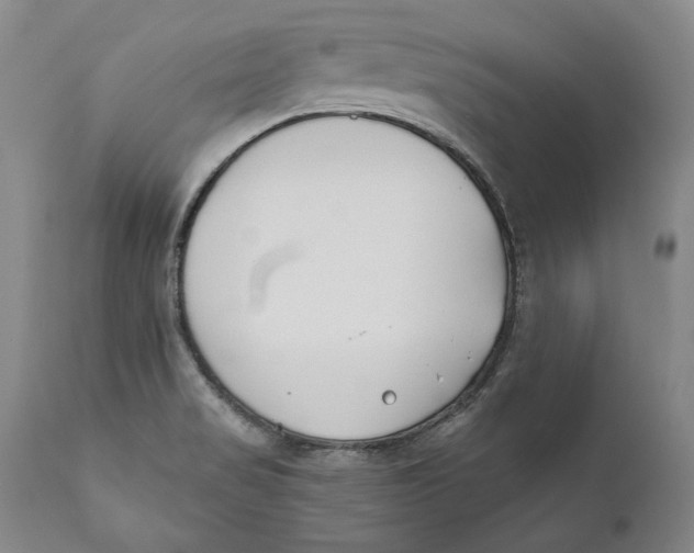 X0000110761517200907061042