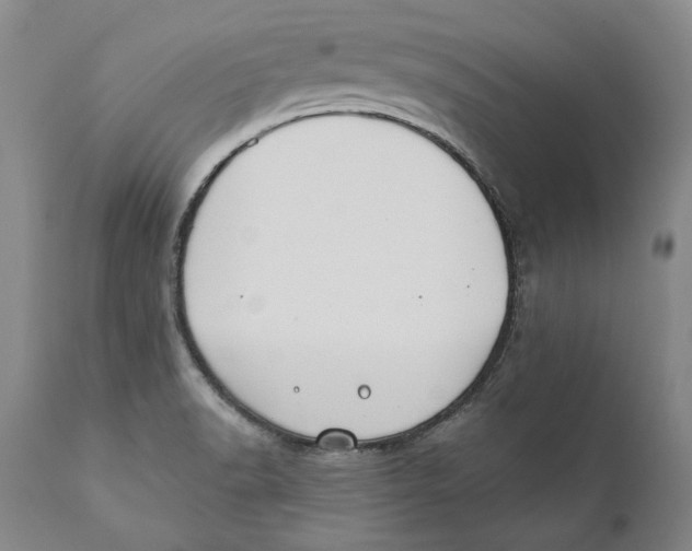 X0000110761518200907061042