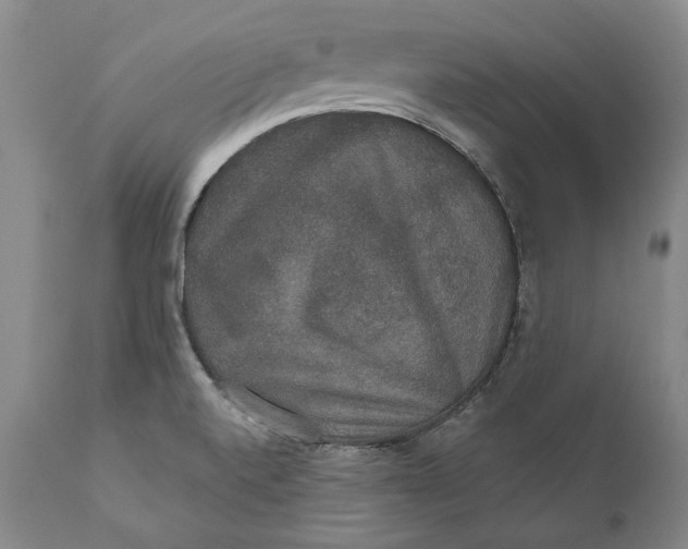 X0000110761520200907061042
