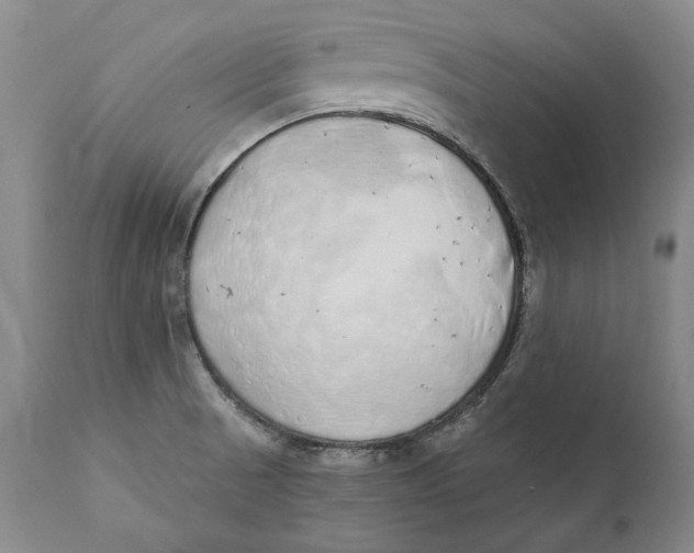 X0000110761521200907061042