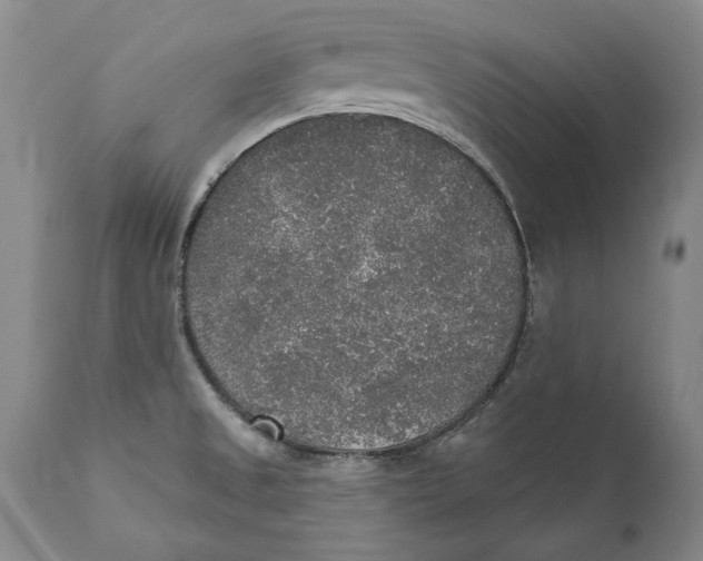 X0000110761525200907061042
