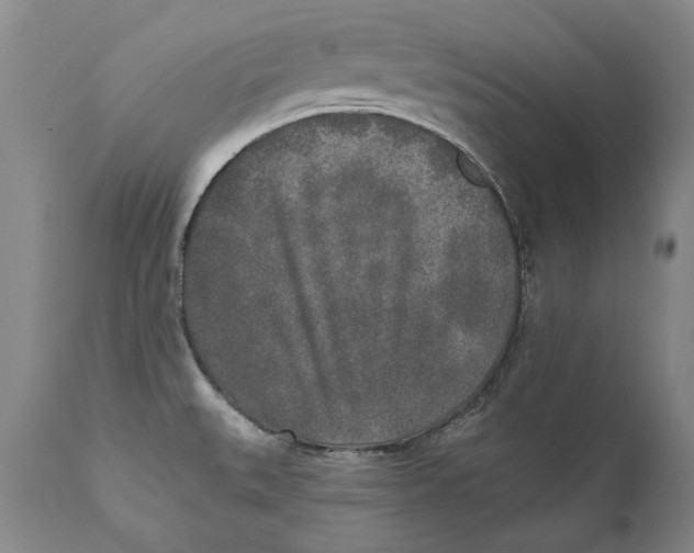 X0000110761527200907061042