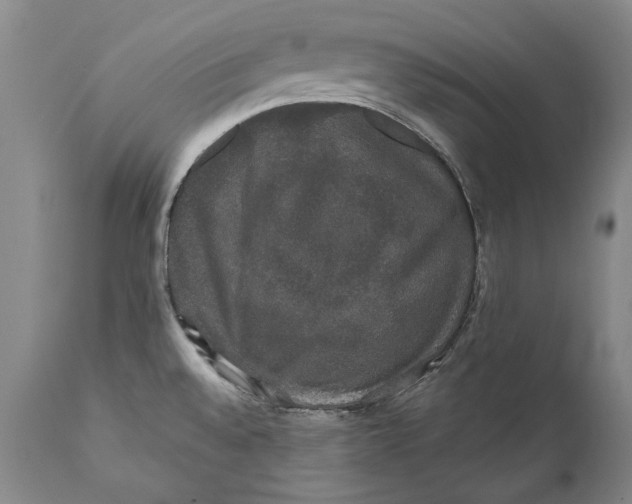 X0000110761528200907061042