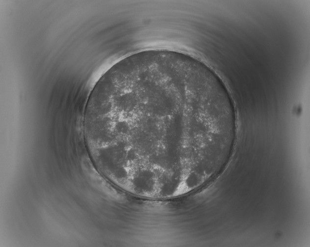 X0000110761529200907061042