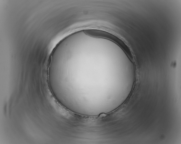 X0000110761530200907061042