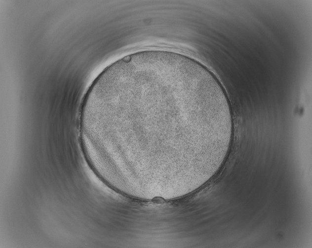 X0000110761531200907061042