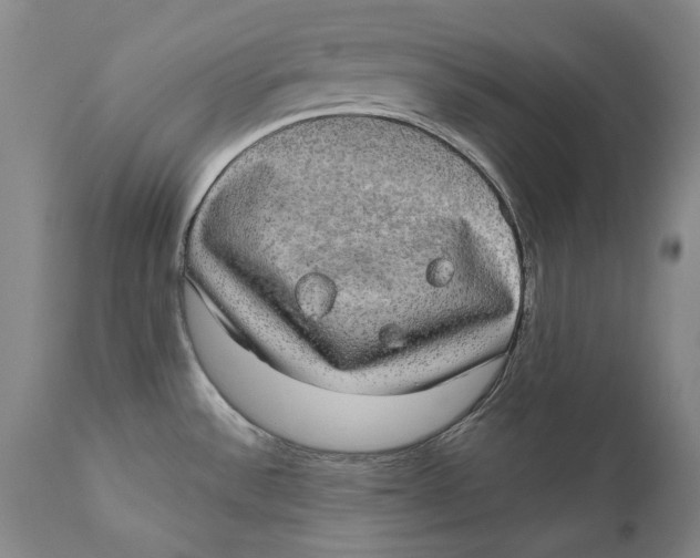 X0000110761532200907061042