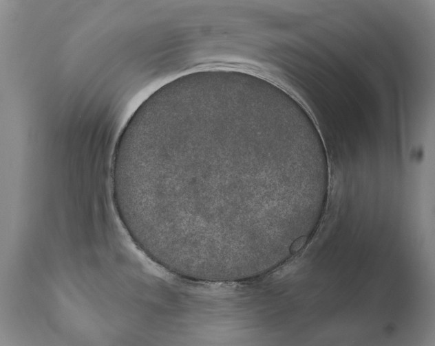 X0000110761533200907061042
