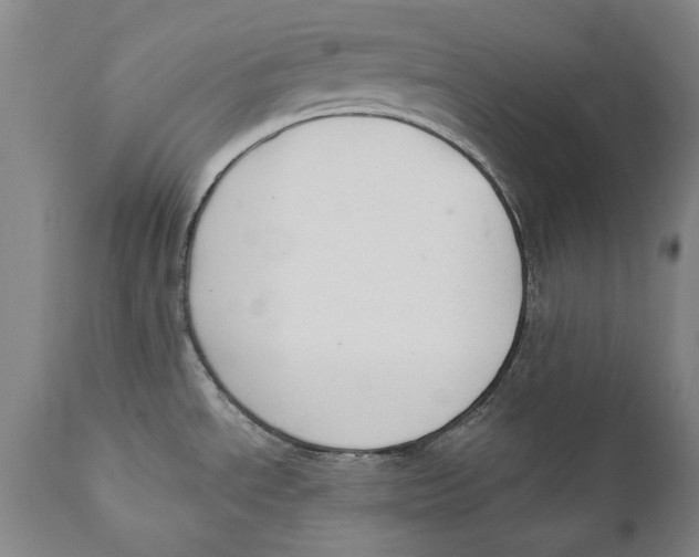 X0000110761534200907061042