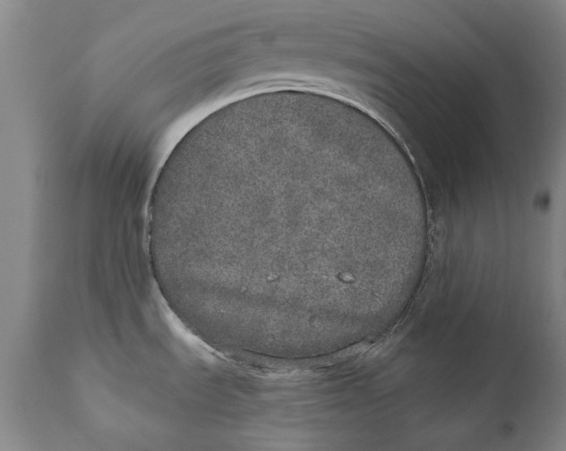 X0000110761535200907061042