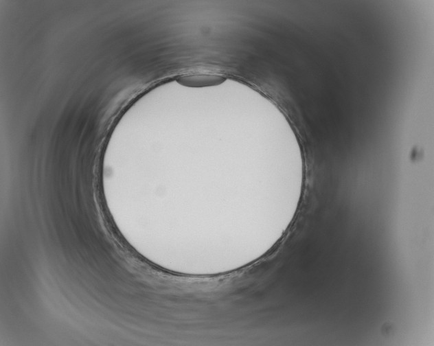 X0000110760001200907131221
