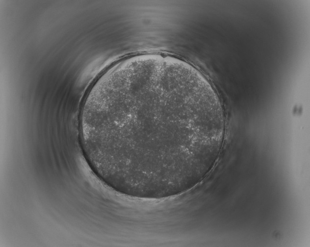 X0000110760002200907131221