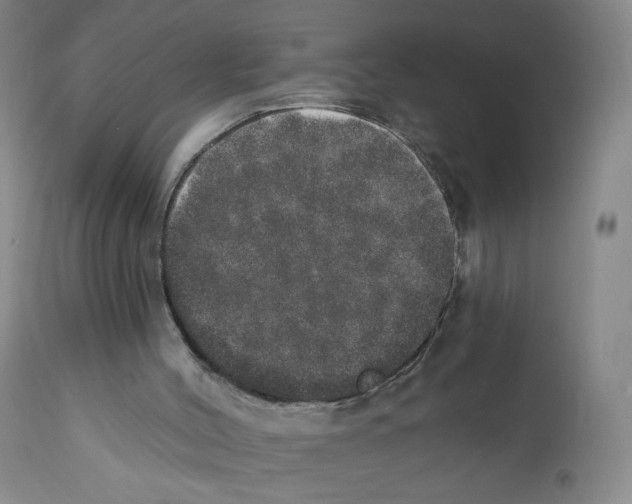 X0000110760004200907131221