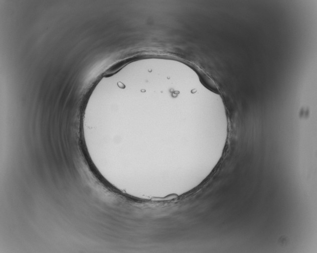 X0000110760005200907131221