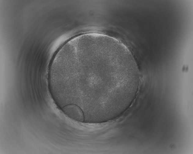 X0000110760006200907131221