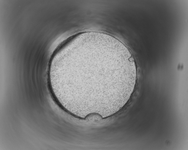 X0000110760007200907131221