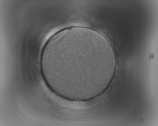 X0000110760008200907131221