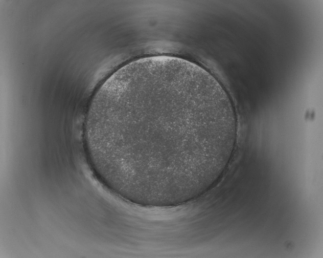 X0000110760010200907131221