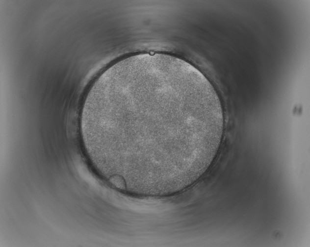 X0000110760012200907131221