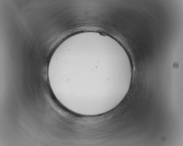 X0000110760013200907131221