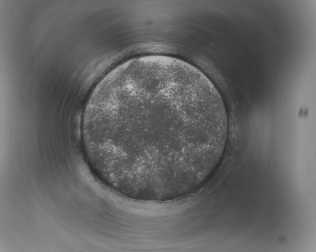 X0000110760014200907131221