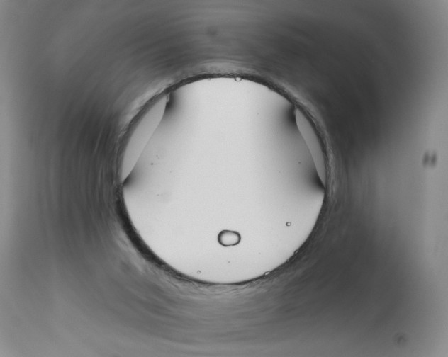 X0000110760015200907131221