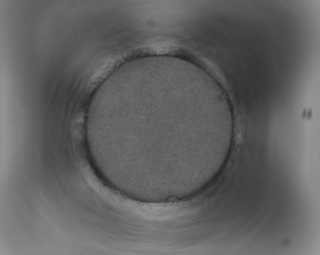 X0000110760018200907131221