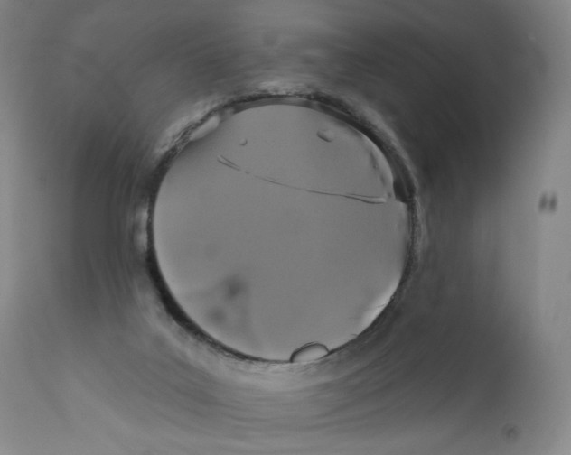 X0000110760019200907131221