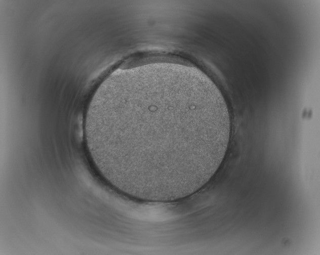 X0000110760020200907131221