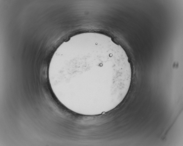 X0000110760021200907131221