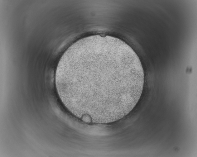 X0000110760024200907131220
