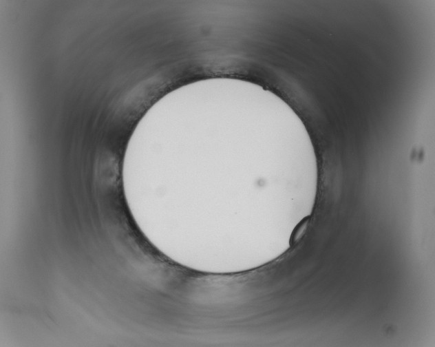 X0000110760025200907131220