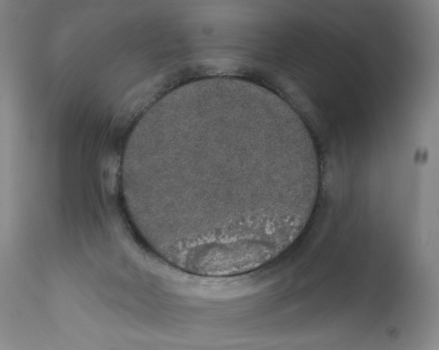 X0000110760026200907131220