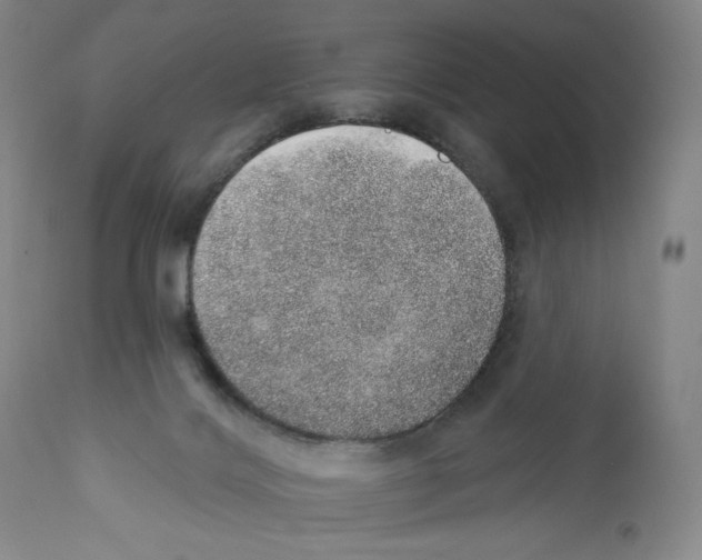 X0000110760028200907131220