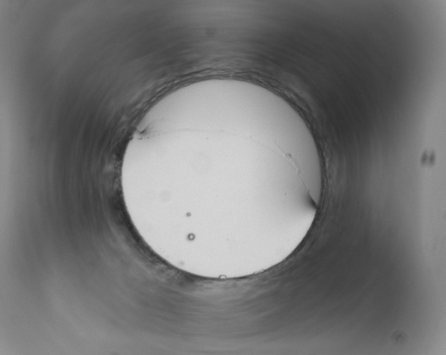 X0000110760029200907131220