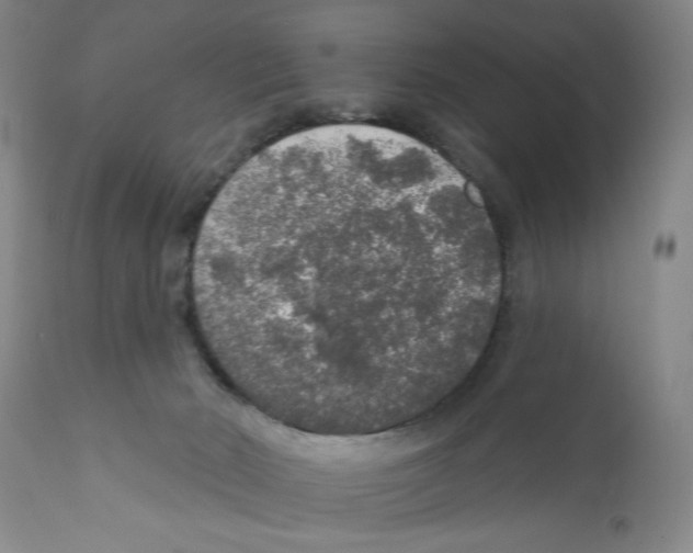X0000110760030200907131220
